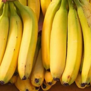 fresh premium quality bananas – natural sweet yellow bananas | bulk wholesale supply