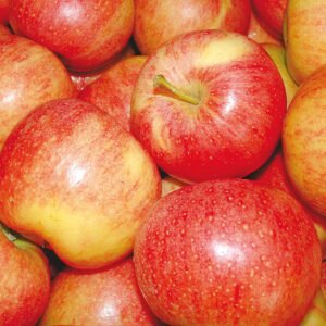 fresh red apples – premium quality farm fresh apples for wholesale supply