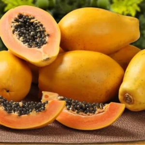 fresh ripe papaya – premium wholesale fruit for retail & bulk buyers