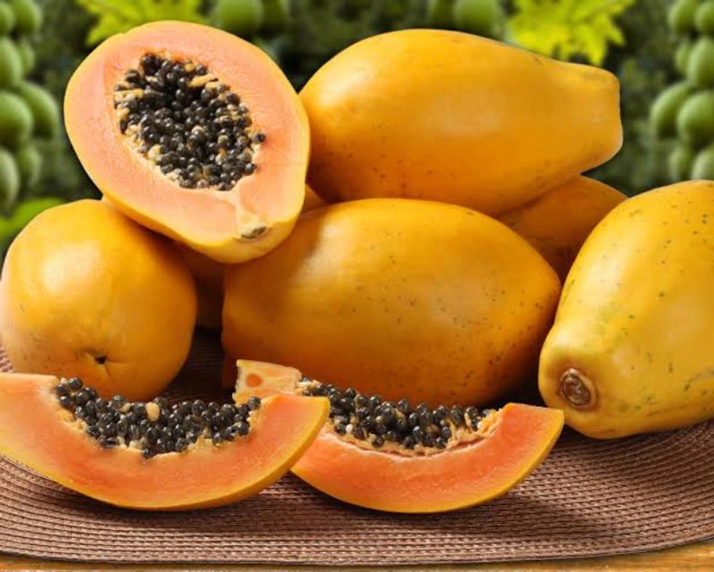 fresh ripe papaya – premium wholesale fruit for retail & bulk buyers