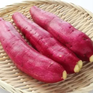 Fresh Premium Sweet Potatoes – Organic Natural Sweet Potato for Wholesale Supply | Bulk Sweet Potato Export Quality