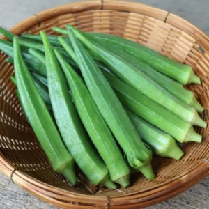 Fresh Lady Finger (Okra) – Premium Quality Wholesale Vegetables