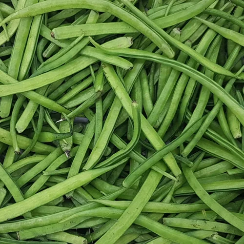 Fresh Cluster Beans – Organic Farm Fresh Vegetables Wholesale - Image 2