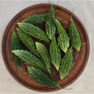 Fresh Bitter Gourd (Karela) – Premium Quality Wholesale Vegetables