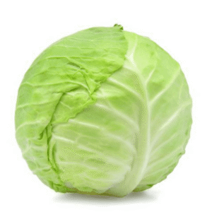 Fresh Green Cabbage – Premium Quality Farm Fresh Cabbage for Wholesale