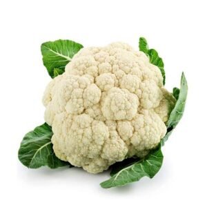 Fresh Premium Cauliflower – Farm Fresh Organic Cauliflower for Wholesale Supply