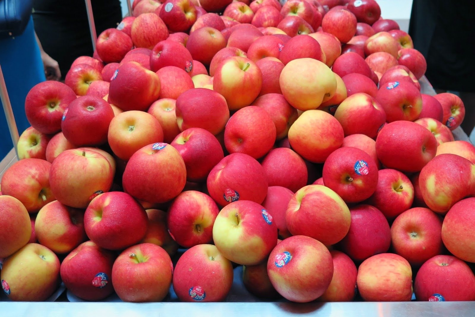 fresh red apple – premium quality natural sweet apples | farm fresh apples for wholesale supply