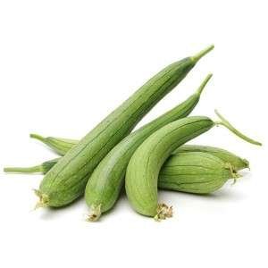 Fresh Ridge Gourd – Organic Indian Luffa Vegetable | Wholesale Bulk Supply