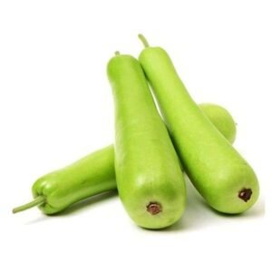Fresh Bottle Gourd (Lauki) – Premium Quality Wholesale Vegetables