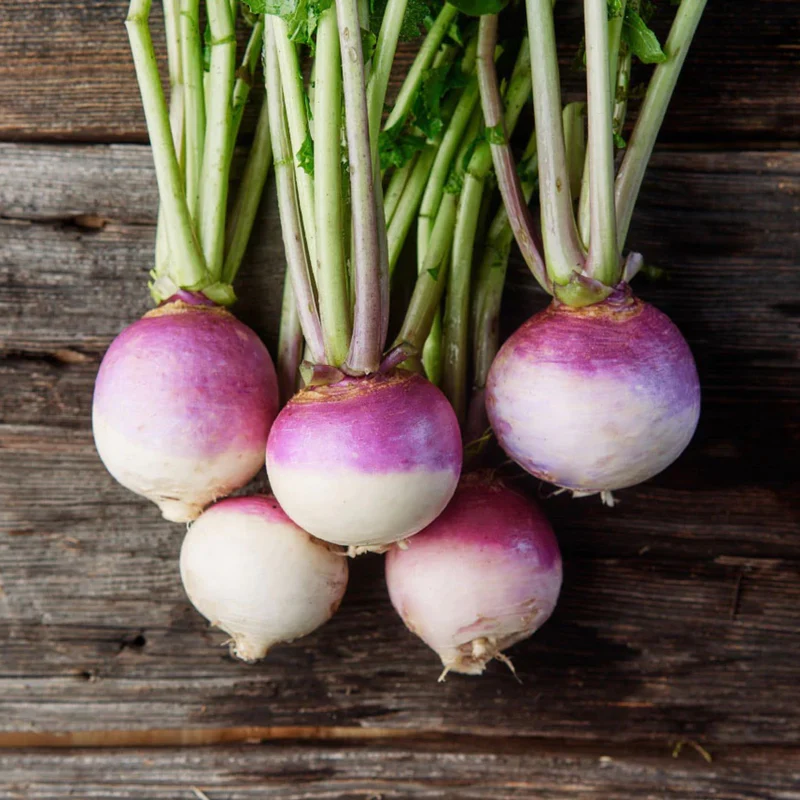 Fresh Organic Turnip – Premium Quality Farm Fresh White Turnips for Wholesale Supply