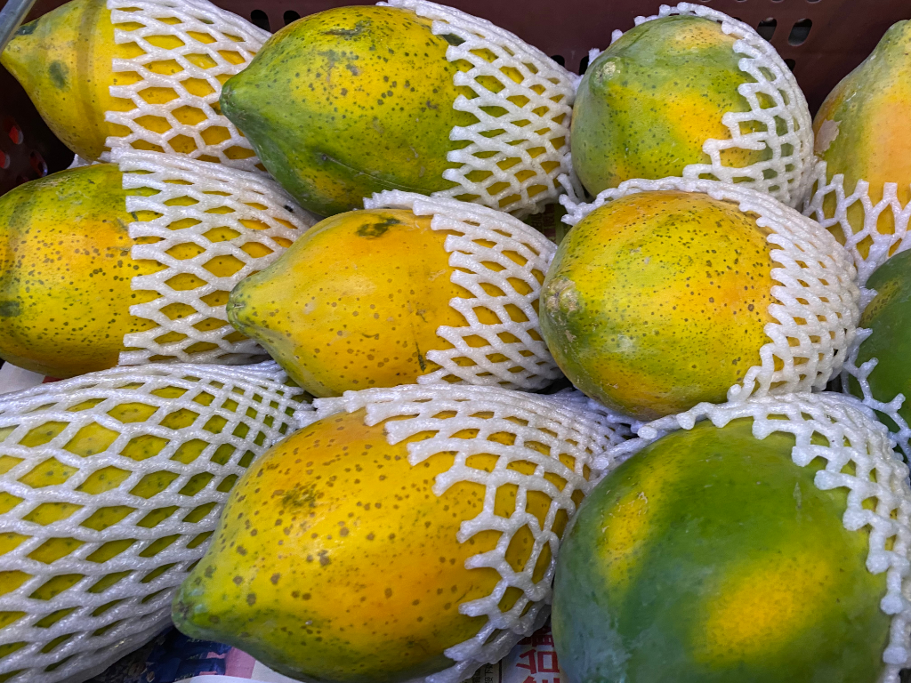 fresh ripe papaya – premium wholesale fruit for retail & bulk buyers