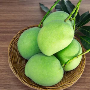 Fresh Raw Mango Wholesale – Premium Quality Green Mangoes for Pickles, Juices & Cooking | Bulk Supply Export Grade